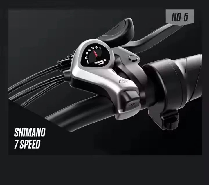 Vélo à assistance électrique VTT