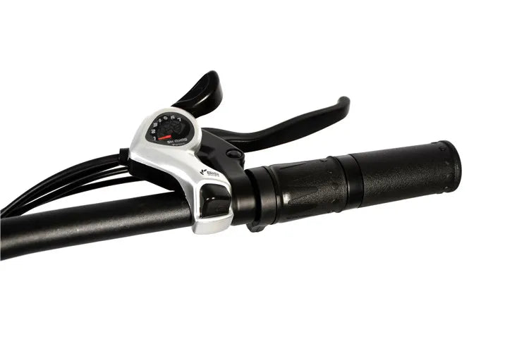 Vélo électrique léger et pliant du marché