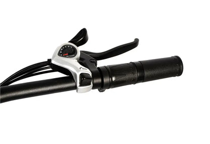 Vélo électrique léger et pliant du marché